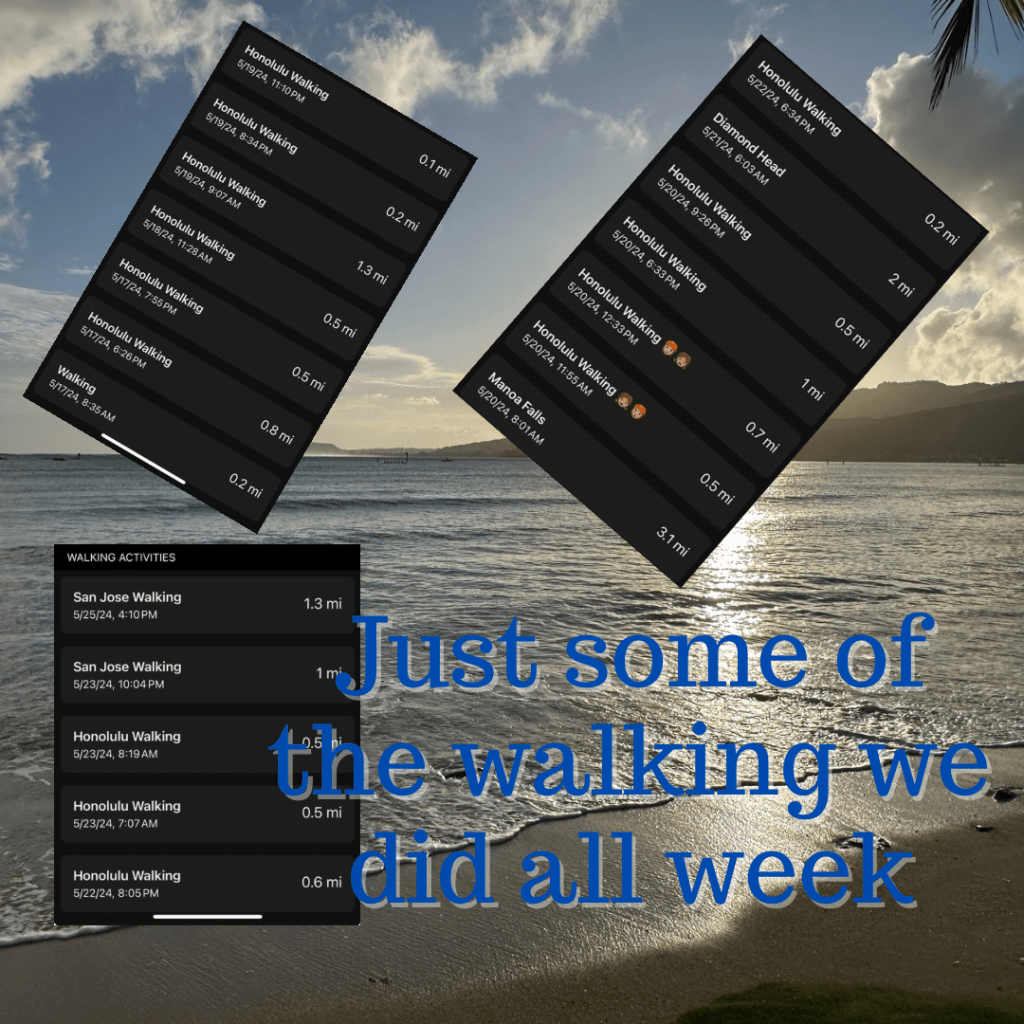 Some of the miles we walked to meals and exploring