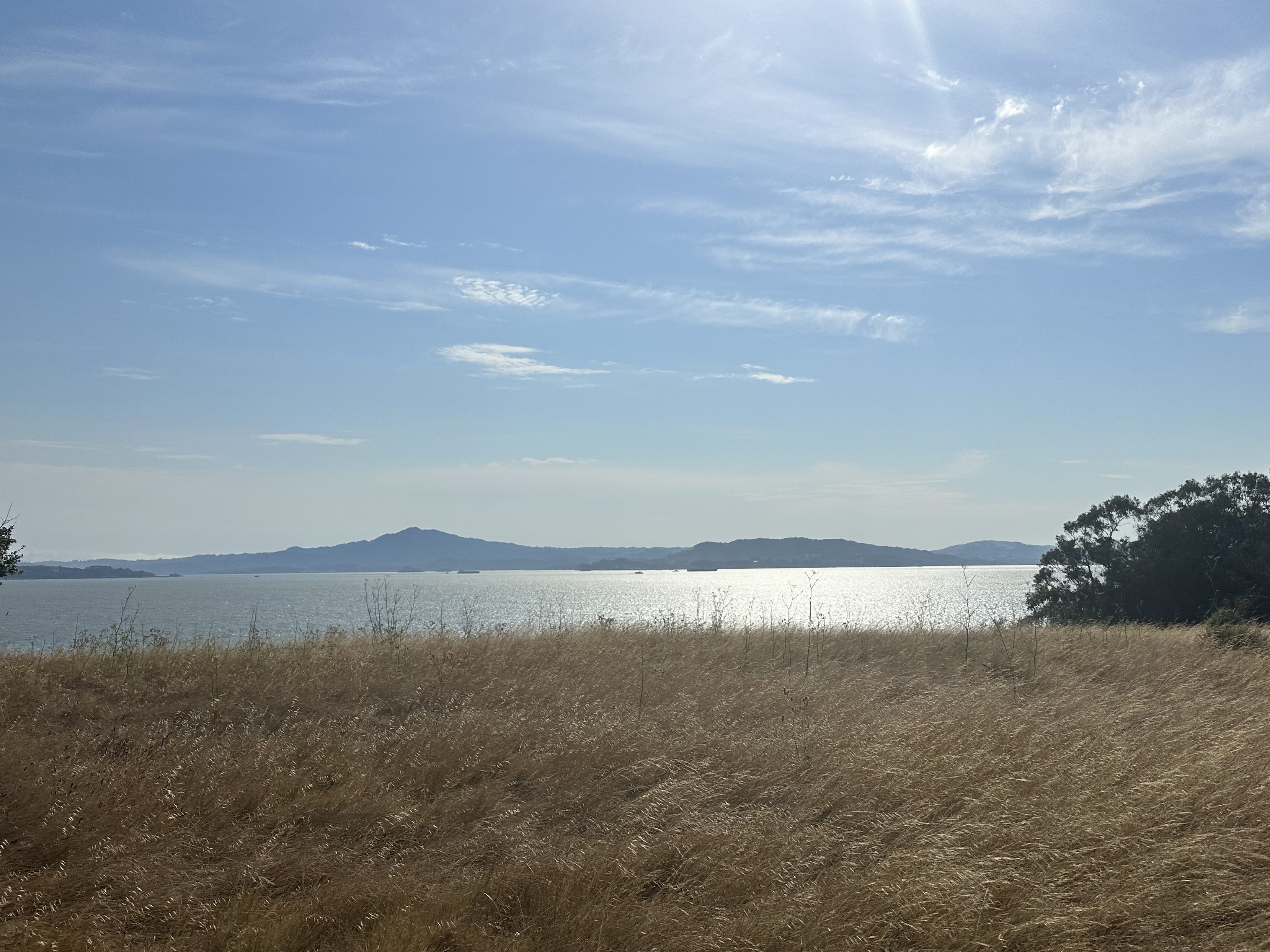 The view of the sun shining on the water in the bay.