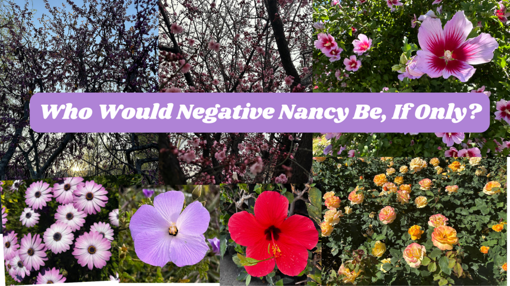 Who Would Negative Nancy Be, If Only?