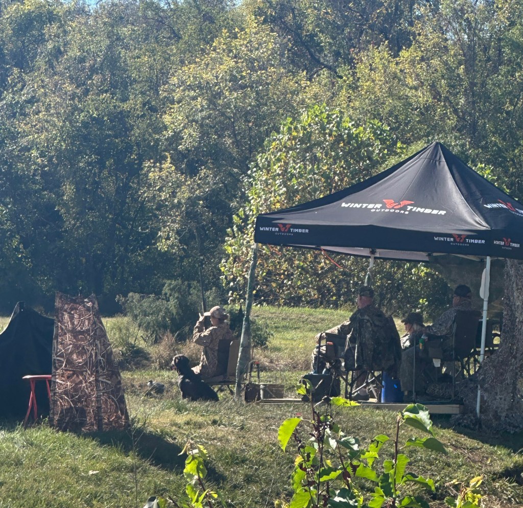 Confidence Isn’t Constant